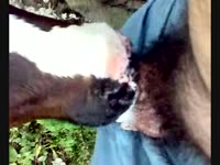 Dog gives blowjob to man